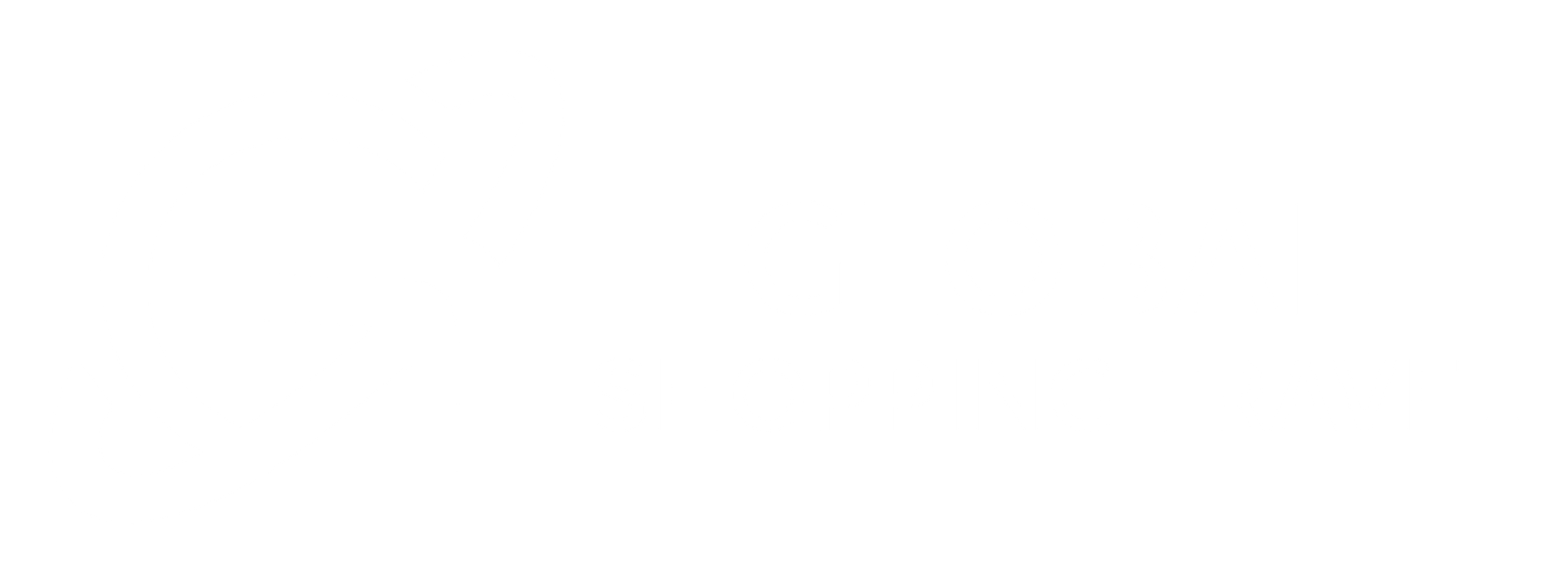 Global Shopping Travel